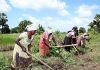 காணி அபிவிருத்தி சட்டமூலம் ‘விவசாயிகளுக்கு பாதகமானது’