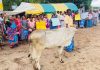 காணி உரிமை கோரும் மயிலத்தமடு பாற்பண்ணையாளர்களுக்கு சிறு வெற்றி