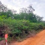 Land photo 02